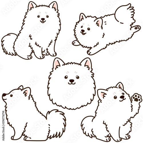 Outlined simple and adorable Japanese Spitz illustrations set