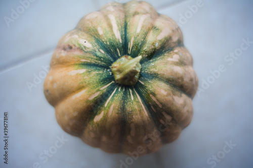 pumpkin on a white background
