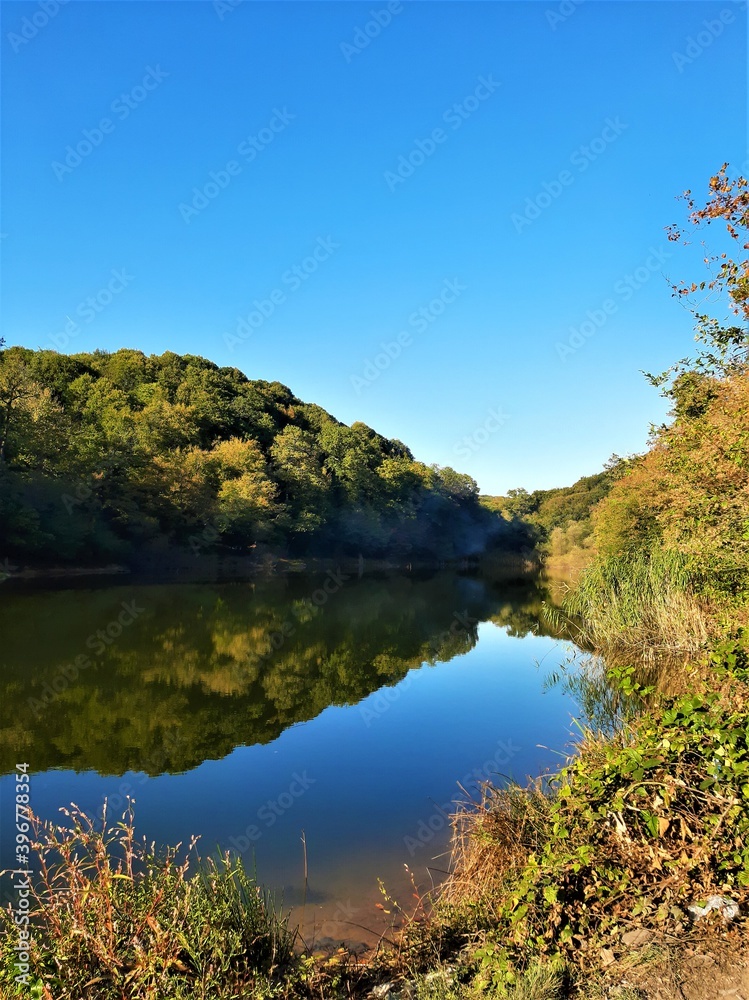 lake in the autumn, nature, yellow,blue , green.