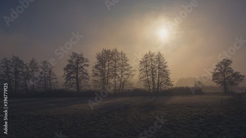 sunrise in the fog