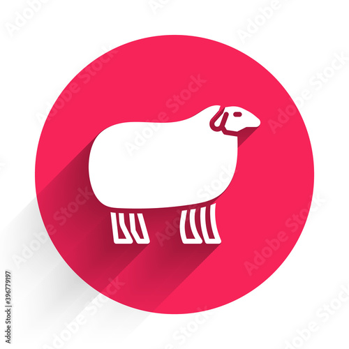 White Sheep icon isolated with long shadow. Animal symbol. Red circle button. Vector.