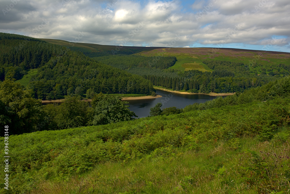 lake in the mountains with forests