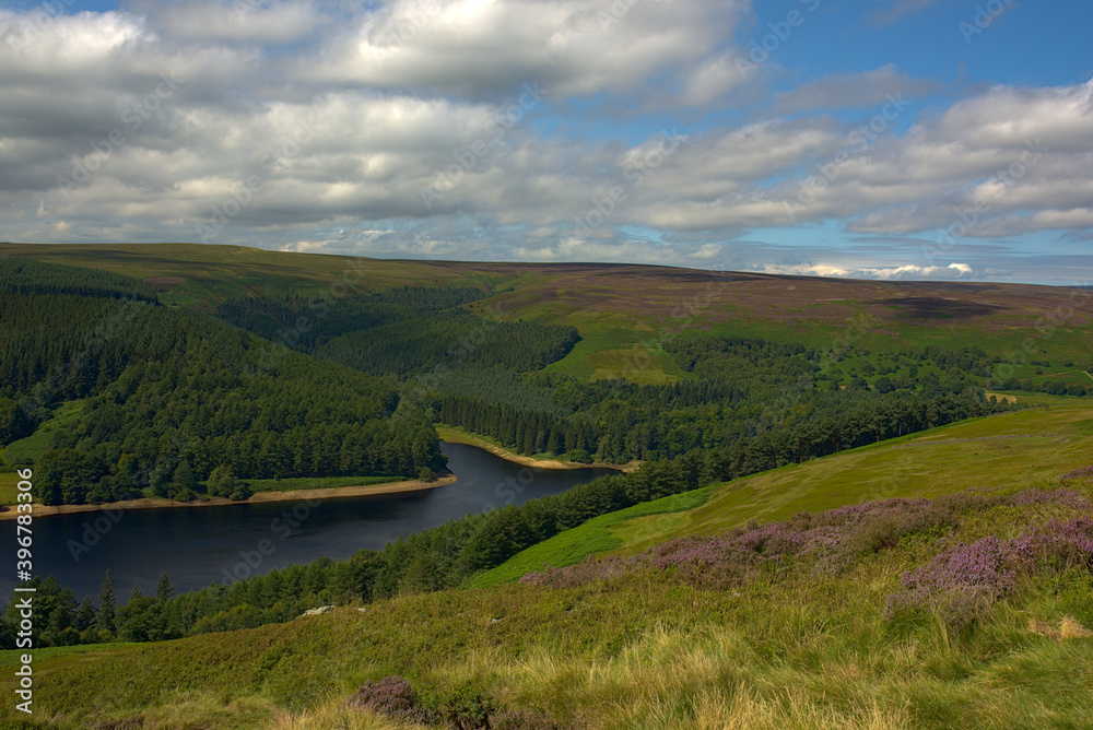 landscape with river and blue sky