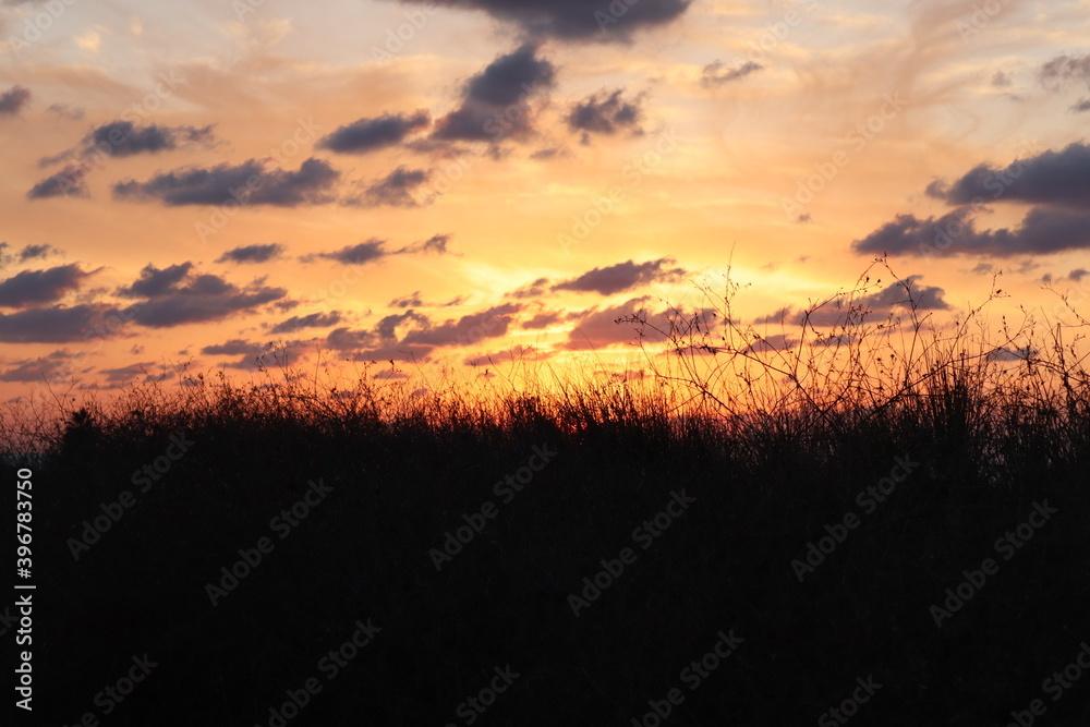 sunset sunset