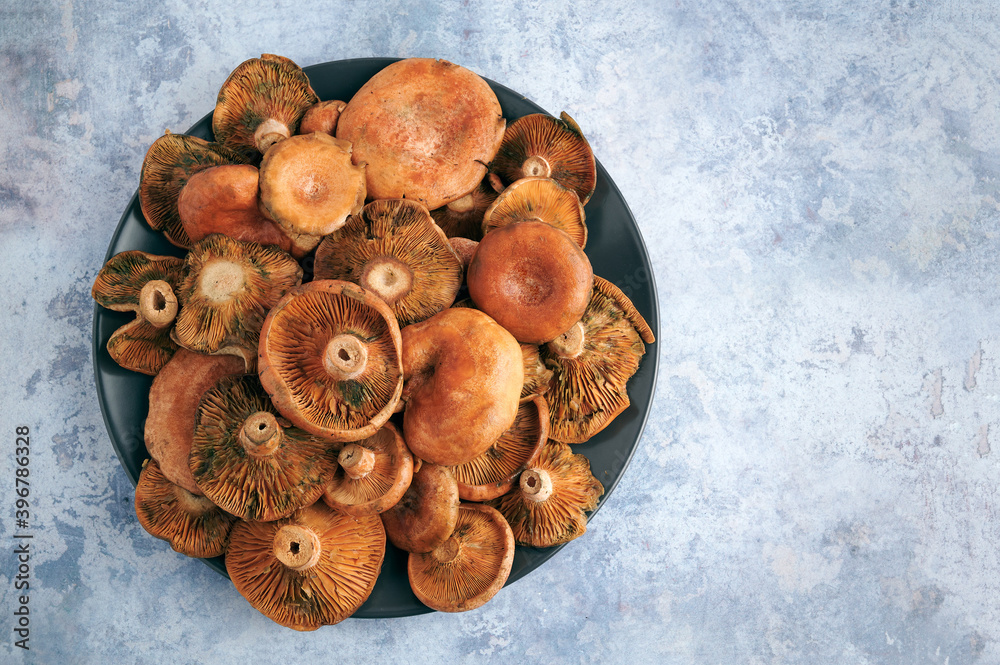 Plate of rovellons or niscalos, typical autumn mushrooms, top view, copy space Plate of rovellons or niscalos, typical autumn mushrooms, top view, copy space