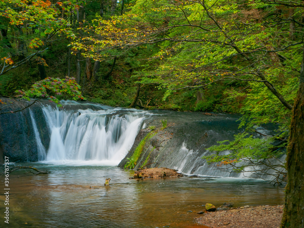 Obraz premium Small waterfall in autumnal forest (Tochigi, Japan)