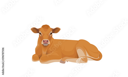 Limousine - The Best Beef Cattle Breeds. Bull, Cow, Calf. Farm animals. Vector Illustration.