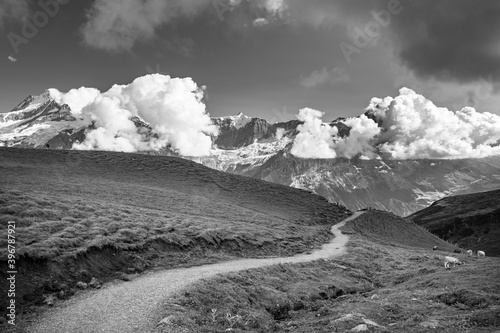 Obraz na płótnie tirol, trentino, traditional, panorama, background, alpine, unique, dolomite, funes, magdalena, valley, w salonie