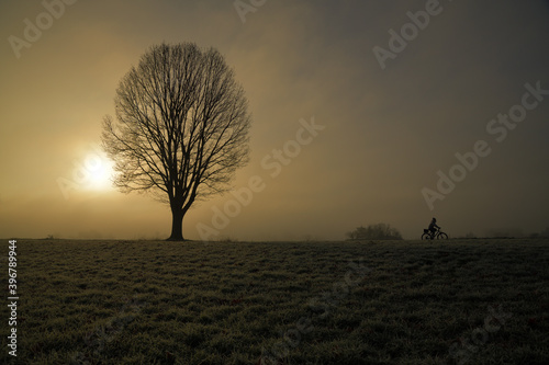 Ein Radfahrer an einem nebligen und frostigen Wintermorgen