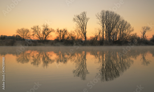 Winterdämmerung hinter Bäumen mit einem Spiegelbild im Wasser