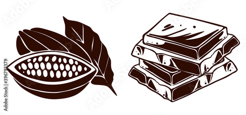 Cocoa plant nad chocolate pieces, vector