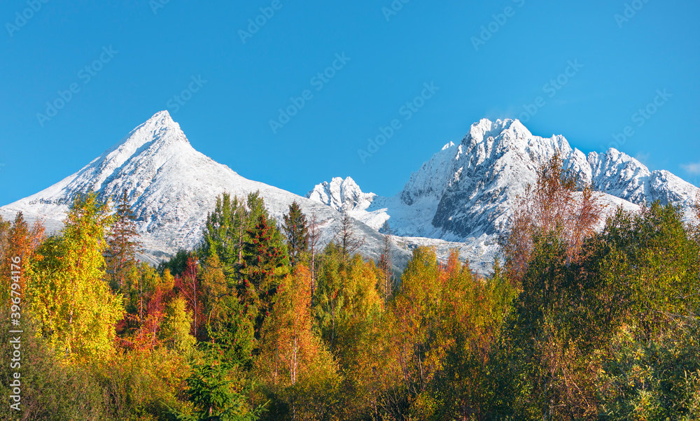 nature, created by nature, view, sky, purity, untouched, pure, sunny, without humans, earth, innocence, flora, plants, planet earth, travel, realx, peace, rest, tranquility, vacation, freedom, space,