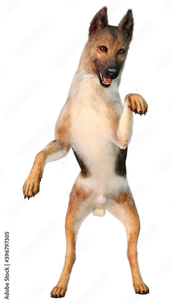 3D Rendering German Shepherd on White 3D Rendering German Shepherd on White