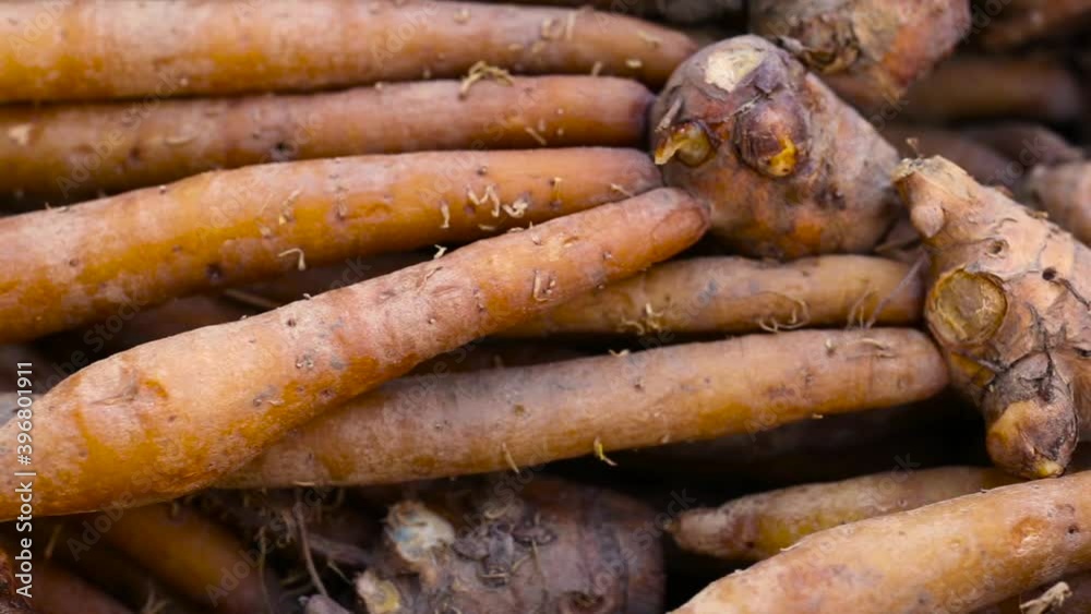 Finger root; Krachai (Boesenbergia rotunda ) in the basket; thai herb Finger root; Krachai (Boesenbergia rotunda ) in the basket; thai herb