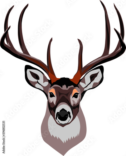 deer head vector