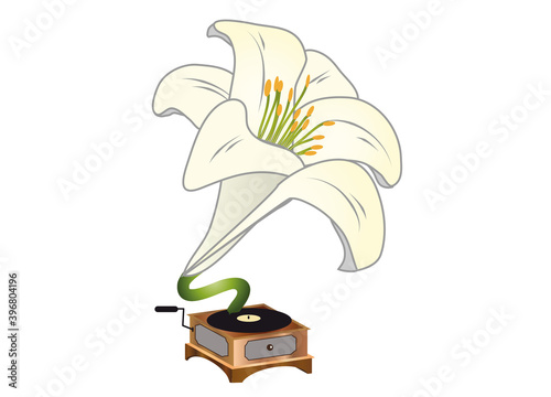 nostalgisches Lilien Blumen Blüten Gramophone photo