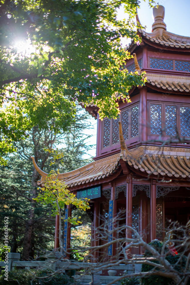 Chinese Garden of Friendship sydney