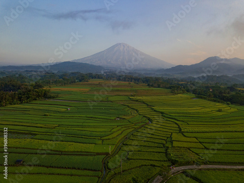 Terraced rice field with Sumbing Mountain on the background with slightly foggy weather in the morning. Central Java, Indonesia