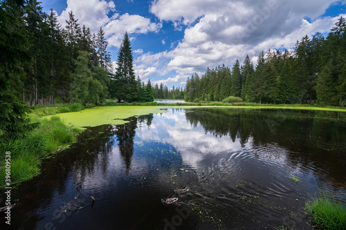 Kladska - Marianske Lazne, Czech republic