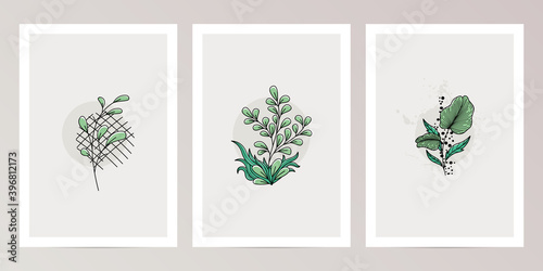 Set of Vintage Botanical Lineart Design Template for Wall Decoration, poster, brochure, giftcard, invitation card 