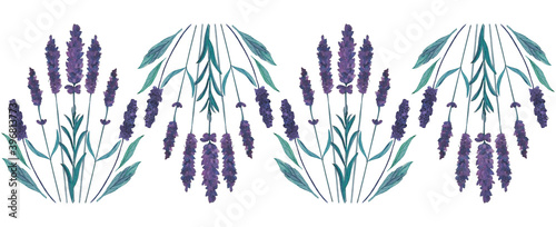 Lavender border bundle for decorative purposes on white background