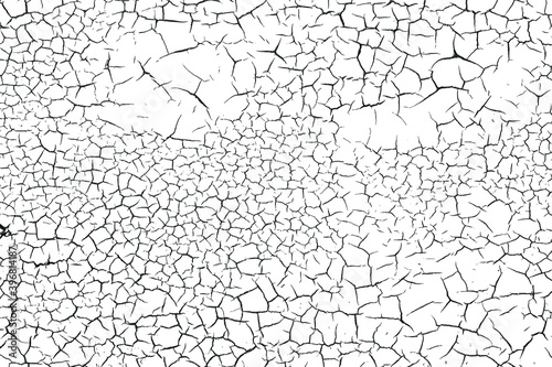 Monochrome vector texture overlay based on craquelure of old oil paint.