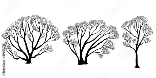 tree branch design halloween vector drawing art