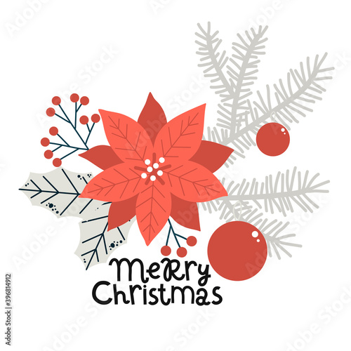 vector, poinsettia flower and fir branches, christmas greeting card, background