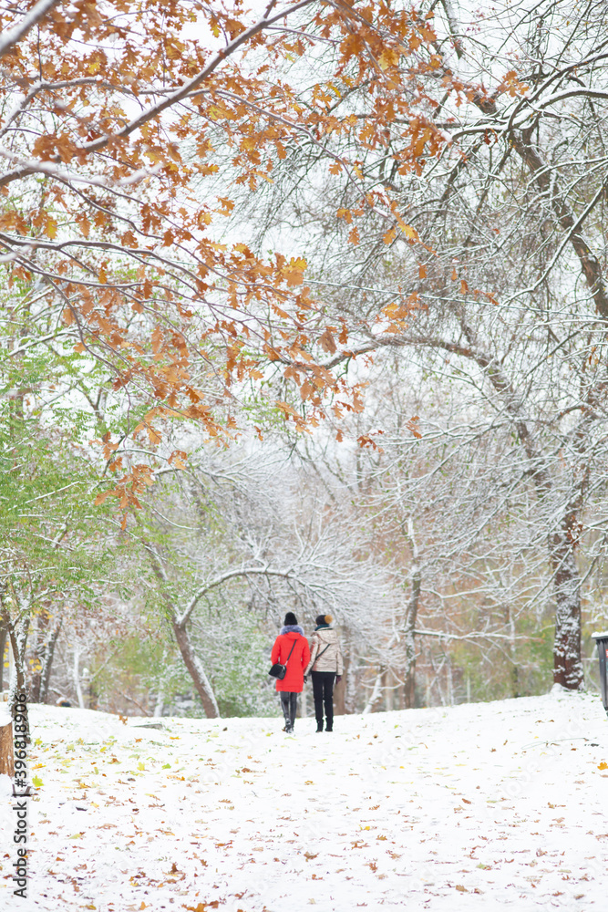 People walk in a snowy park. First snow in November. Beauty in nature. Seasonal conceptual landscape.
