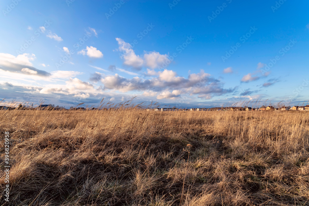 Field of dry yellow grass on a sky with clouds in sunny spring day.