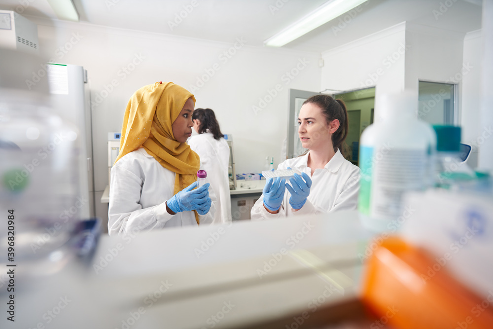 Female scientists working and talking in laboratory Female scientists working and talking in laboratory
