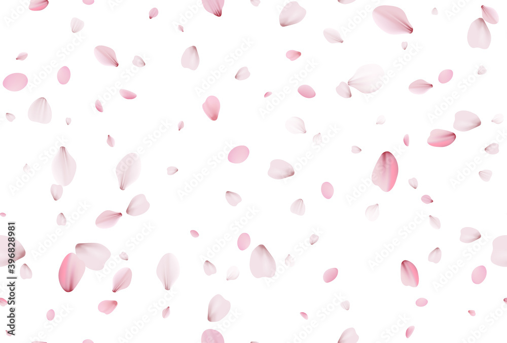 Seamless sakura petals. Falling realistic cherry petals