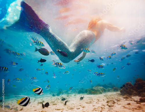 Canvastavla Portrait of a girl mermaid from the back with tail swim under water in the ocean