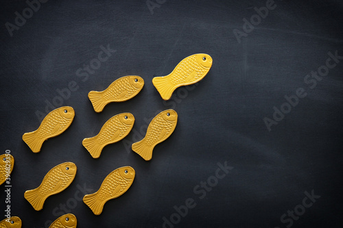 Canvas Print Leadership concept with swimming fish over blackboard background