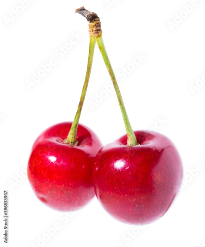 Two organic sweet cherries isolated on a white background.