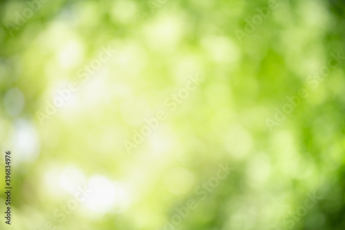 Abstract blurred out of focus and blurred green leaf background under sunlight with bokeh and copy space using as background natural plants landscape, ecology wallpaper and cover concept.