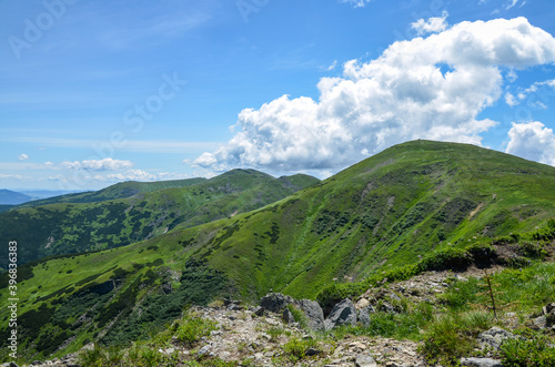 Panorama of green Chornohora mountain range in in summer season Carpathians  Ukraine.