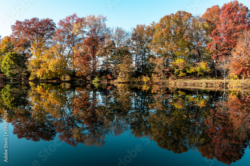 autumn trees on the lake