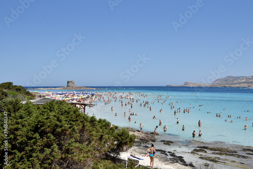 Fototapeta Naklejka Na Ścianę i Meble -  A wonderful beach in Stintino, Sardinia, Italy