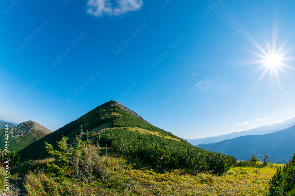 beautiful mountains covered with forest and alpine pine under blue sky