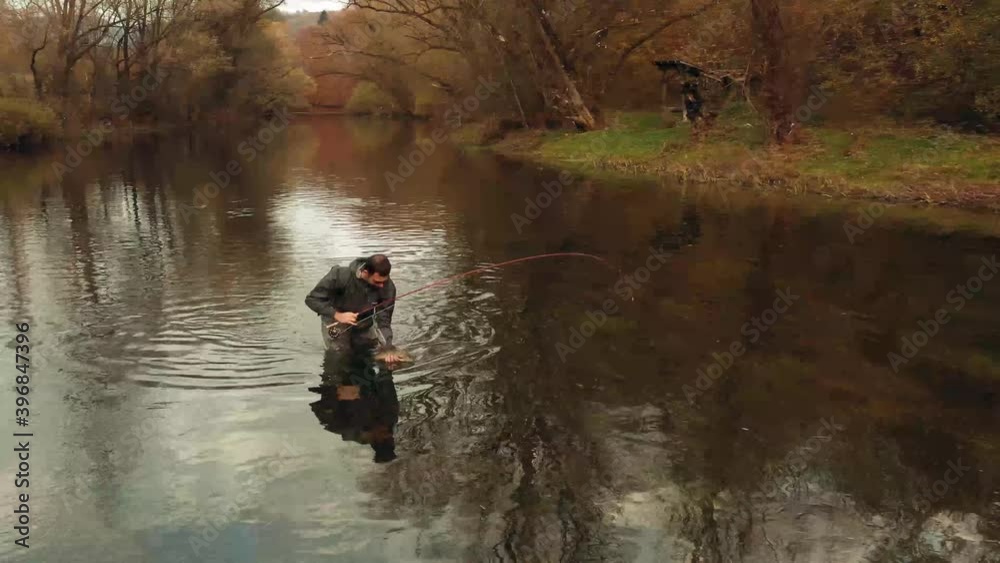 Aerial Dolly In Shot Fisherman Pick Up Grayling Fish and Pose for Camera Aerial Dolly In Shot Fisherman Pick Up Grayling Fish and Pose for Camera