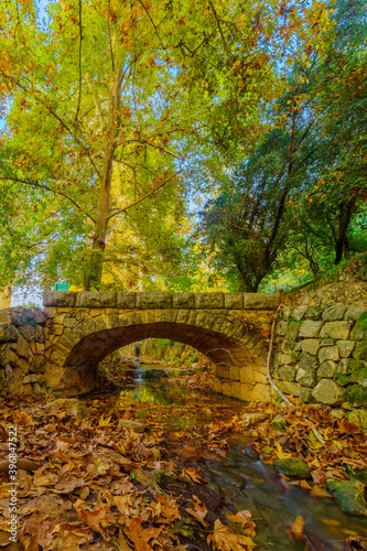 Kesalon Stream with a stone bridge, En Hemed National Park photo