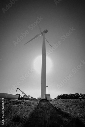 Black and white picture of a windmill at main focus - V-orientation photo
