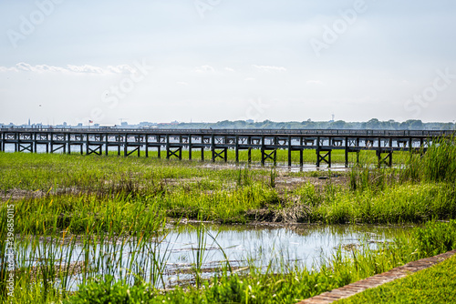 View of Hog Island Channel water from Mount Pleasant in Charleston, South Carolina with wooden docks pier and green grass landscape view in southern town village photo