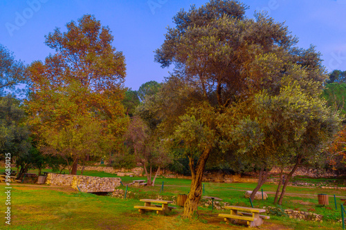 Picnic area with fall foliage  in En Hemed National Park