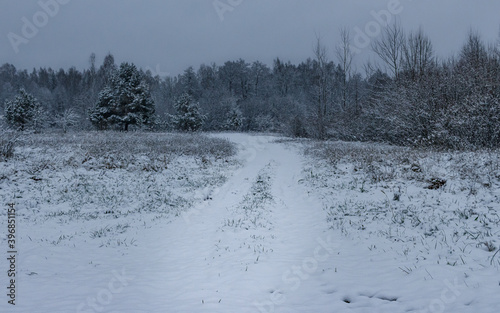 White snow covered nature forest landscape, white walking trail to forest