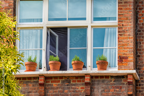 Window sill of red brick flat apartment building with gardening potted plant of rosemary herb growing in pots outside outdoors photo