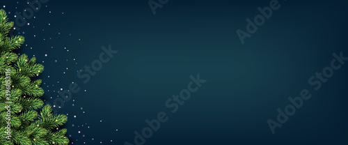 Naked Christmas tree in snow. Happy Holidays background with Xmas tree, New Year Eve