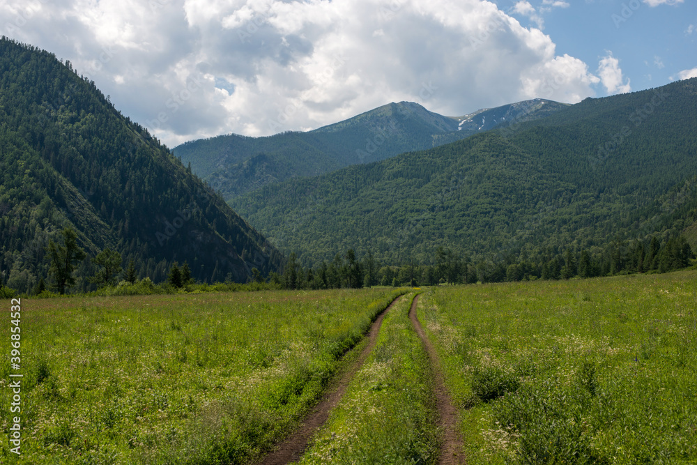 country road in the mountain forests of the Altai mountains