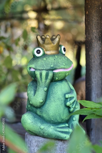 zielona żabka © Katarzyna